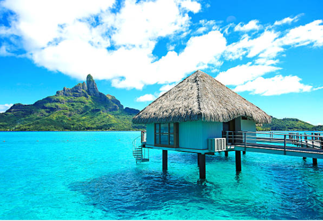 Portrait of Bora bora